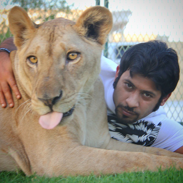 حميد البقيش وشغفه بترويض الحيوانات المفترسة