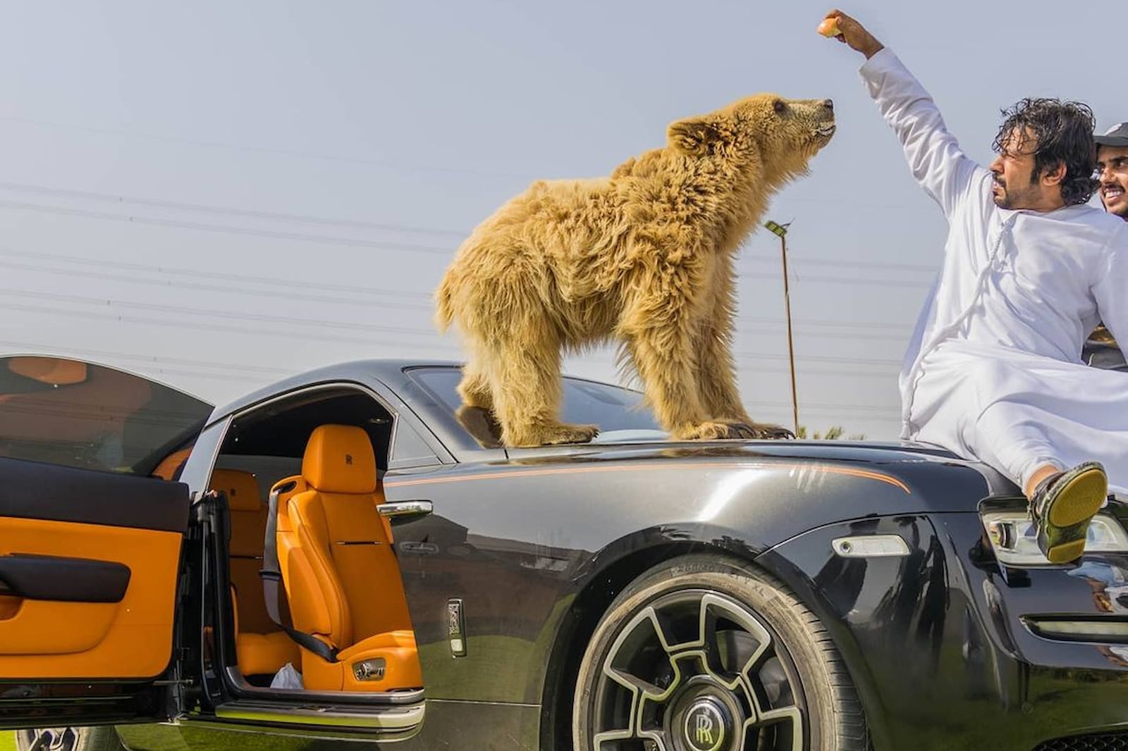 حميد البقيش وشغفه بترويض الحيوانات المفترسة