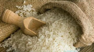 سعر طن الأرز الشعير اليوم يشهد تغيرات ملحوظة في الأسواق المحلية وسط تذبذب حركة العرض والطلب