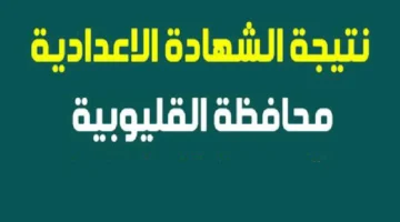 اعرف نتيجتك الآن.. رابط نتيجة الشهادة الإعدادية محافظة الدقهلية للفصل الدراسي الأول 2024-2025
