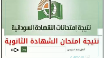 mohe.gov.sd... رابط نتيجة الشهادة السودانية 2025 عبر موقع وزارة التربية والتعليم السودانية