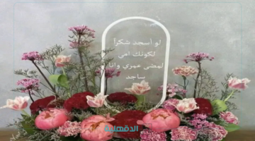 "أمي يا نبض قلبي".. أجمل عبارات تهنئة عيد الأم 2025