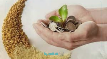 قبل صلاة العيد.. إخراج زكاة الفطر 2025 قيمتها وآخر موعد لإخراجها