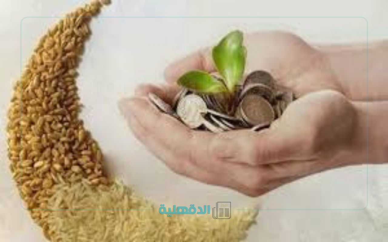 قبل صلاة العيد.. إخراج زكاة الفطر 2025 قيمتها وآخر موعد لإخراجها