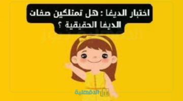 هنا .. اختبار الديفا جاوب على الأسئلة واعرف نتيجتك الآن