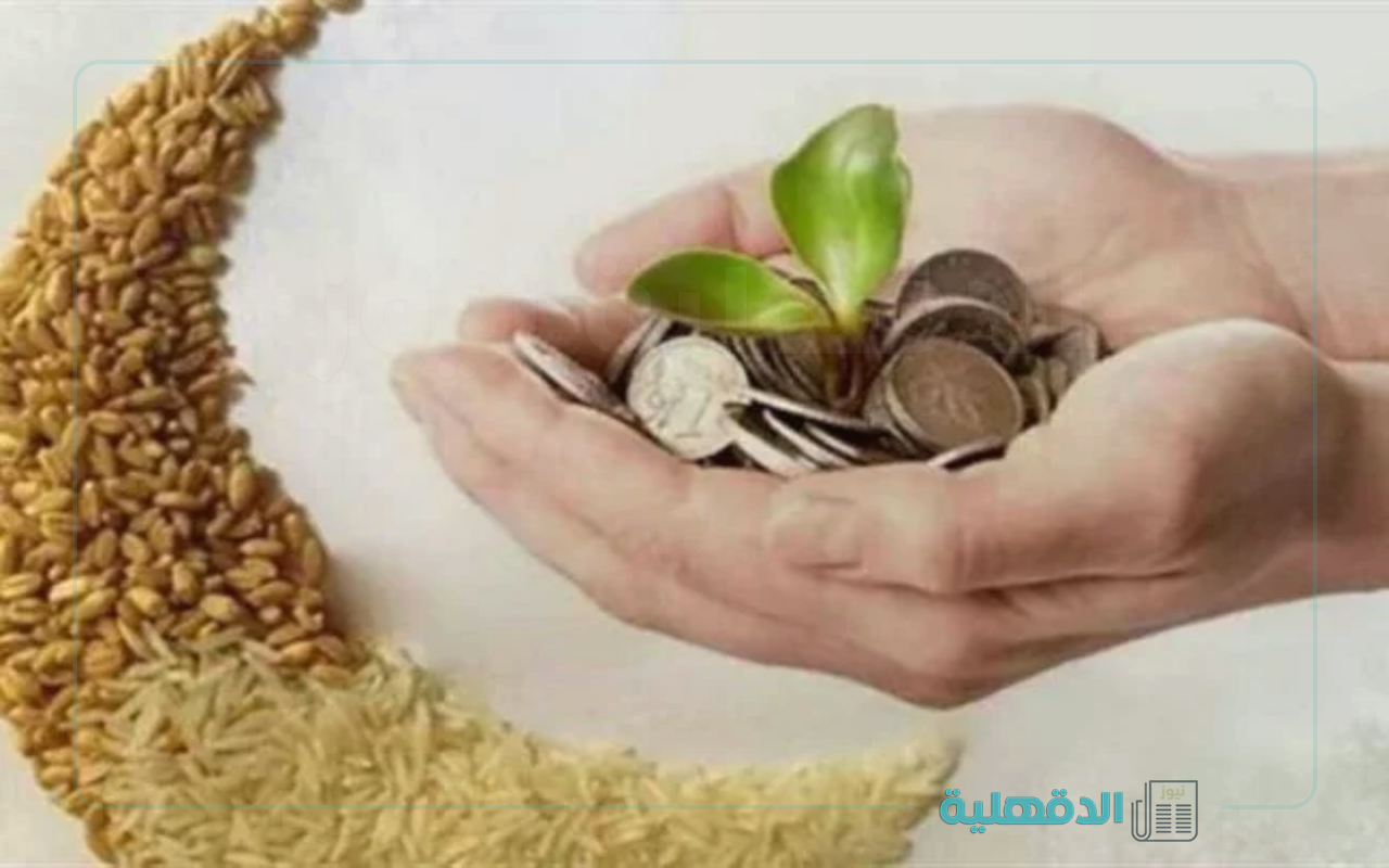 قيمة زكاة الفطر 2025 بالمملكة “موعد دفعها والمستحقون لها”