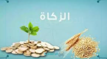 كيف أحسب زكاة مالي بالريال السعودي 1446؟.. زكاة الفطر نقدًا.. الطريقة الصحيحة لإخراجها لمستحقيها