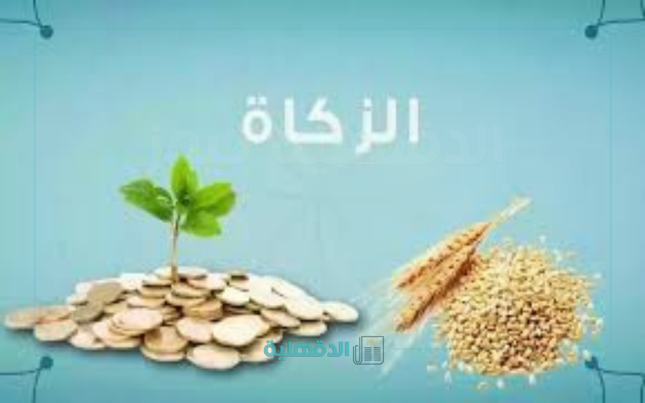 كيف أحسب زكاة مالي بالريال السعودي 1446؟.. زكاة الفطر نقدًا.. الطريقة الصحيحة لإخراجها لمستحقيها