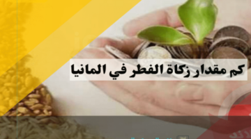 "لجنة الفتوى لدفع الزكاة والفدية" تحدد مقدار زكاة الفطر 2025 في ألمانيا وأفضل وقت لإخراجها