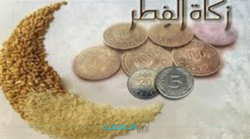 التفاصيل الكاملة.. مقدار زكاة الفطر في الأردن 2025 "مجلس الإفتاء الأردني يحدد"