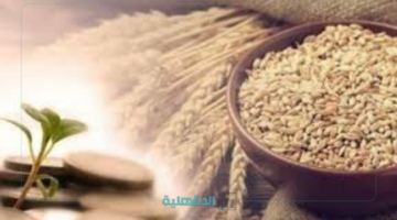 مقدار زكاة الفطر في لبنان 2025 "المقدار العيني والقيمة النقدية"