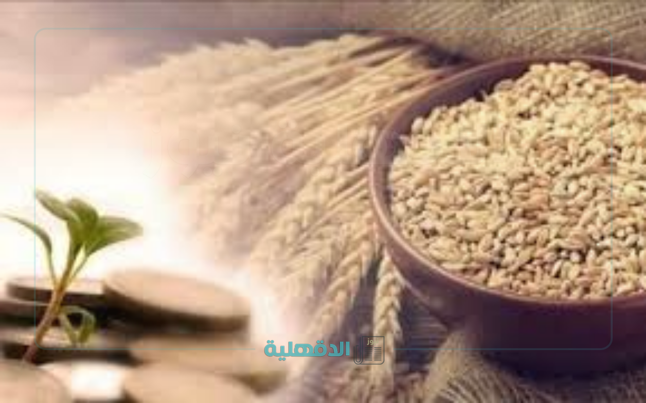 مقدار زكاة الفطر في لبنان 2025 “المقدار العيني والقيمة النقدية”