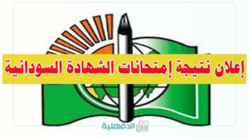 استعلم عن درجاتك.. الاستعلام عن نتائج امتحان الشهادة السودانية 2025 عبر الموقع الرسمي mohe.gov.sd
