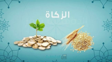 هل الزكاة تكون في المال فقط؟.. كيفية حساب زكاة المال وعلى من تجب