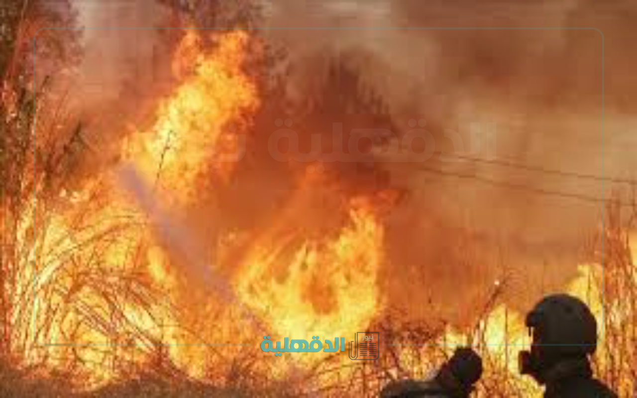 حرائق إسرائيل .. إجلاء للسكان والمستوطنات وعدم سيطرة على الموقف