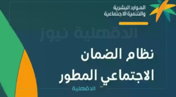 "مفاجأة الأهلية".. حقيقة زيادة ملكية لمستفيدي الضمان الاجتماعي المطور الدورة 41 مايو 2025.. تأكد الآن!