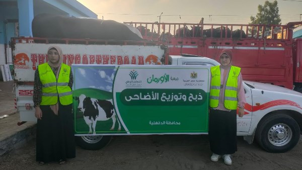 أورمان الدقهلية.. تجهيز 65 عجل بلدى للذبح في أيام التشريق داخل مجزر طنامل