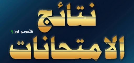 استعلام نتيجة الصف السادس الابتدائي 2025 بالترم الثاني.. محافظتا الدقهلية والقليوبية برقم الجلوس