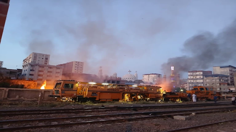 حريق يودي بحياة 9 رؤوس ماشية وحصان في دواوير الدقهلية