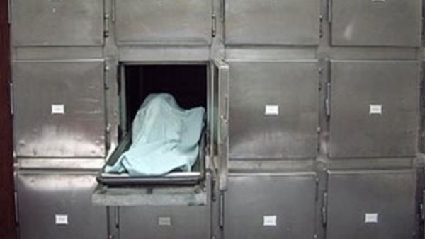 سيارة تدهس رجلاً في إحدى قرى الدقهلية.. مصرع شخص أثناء عبوره الطريق