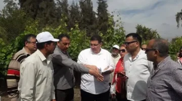 محافظ الدقهلية يتخذ خطوة عاجلة لدعم المشروعات الاستثمارية