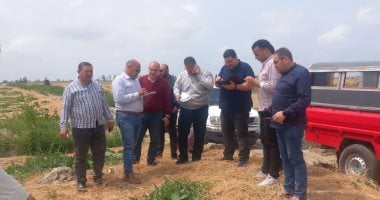 محافظ الدقهلية يشكل لجنة لمعاينة مواقع 3 مشروعات استثمارية على أرض الواقع