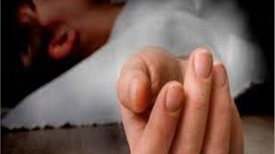 وفاة طفل إثر تصادم على طريق فيشابنا بأجا في الدقهلية